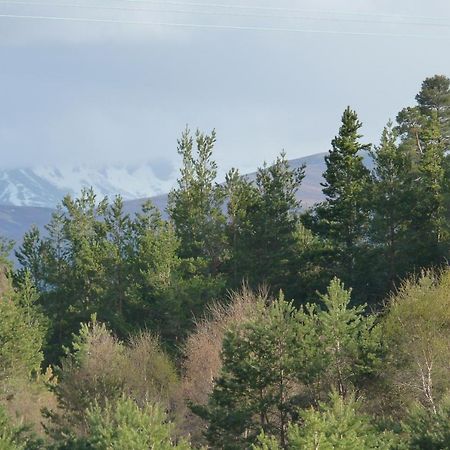 شقة Tanleys - Skye Pod Grantown-on-Spey المظهر الخارجي الصورة